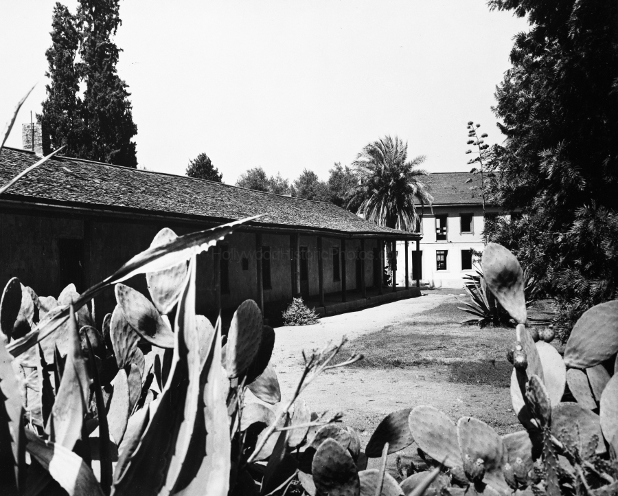 Encino20s1.jpg
