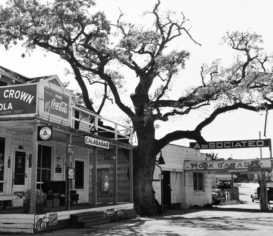 c19512.jpg