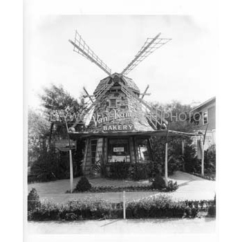 img112.jpg