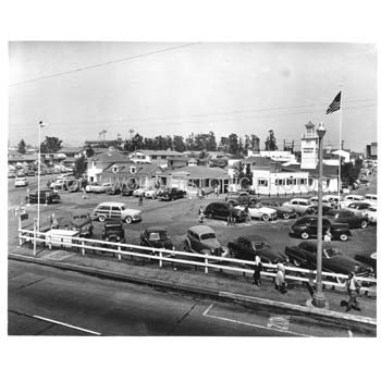 img133.jpg